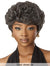 Outre Fab & Fly Gray Glamour 100% Human Hair Wig - HH-JOAN