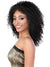 Motown Tress Persian Virgin Remy Human Hair 13x6 HD Lace Wig - HL136.BH16