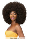 Femi Collection Ms Auntie Premium Synthetic Wig - AFRO ZORA WIG