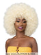 Femi Collection Ms Auntie Premium Synthetic Wig - AFRO ZORA WIG