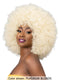 Femi Collection Ms Auntie Premium Synthetic Wig - AFRO ZORA WIG