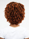 Janet Collection Natural Afro KANE Wig