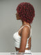 Janet Collection Natural Curly Premium Synthetic Wig - NATURAL AFRO RETA