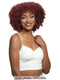 Janet Collection Natural Curly Premium Synthetic Wig - NATURAL AFRO RETA